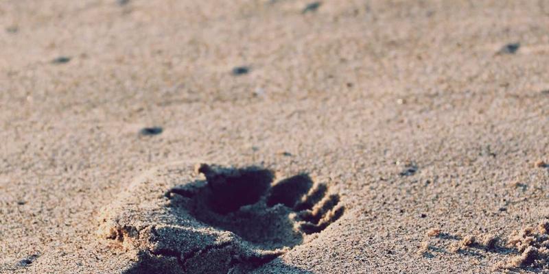 小米手机频繁自动重启？极速手机故障诊断与数码回收指南