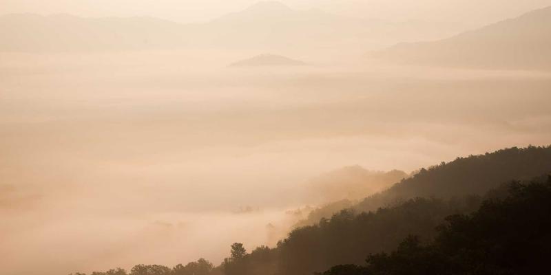 手机Wi-Fi和蓝牙连接故障？极速手机维修专家解析常见原因与电池更换的影响