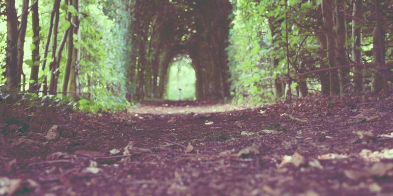 手机主板短路烧毁？极速手机维修专家详解征兆、预防与数据抢救