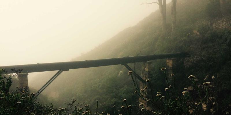 手机主板维修成本高？极速手机维修专家解析风险与专业检测方法