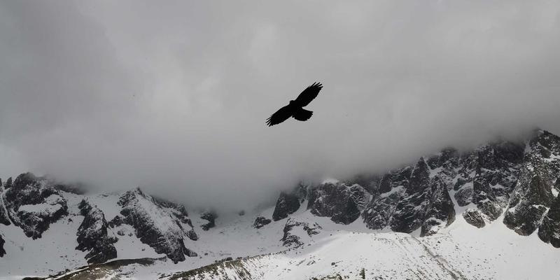 手机屏幕维修与电池更换全指南：极速手机专业服务解析