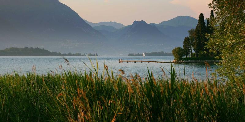 手机无线充电失效？极速手机教你诊断与线圈更换全攻略