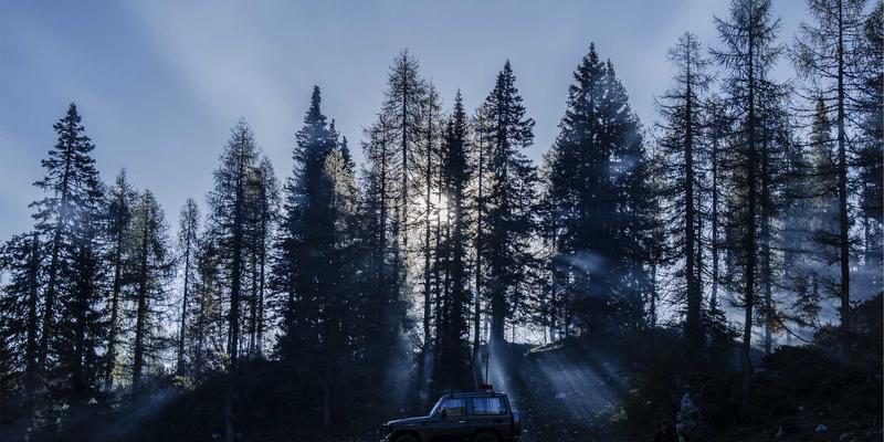 手机维修28：从电池更换到数码回收，极速手机服务的全方位解决方案