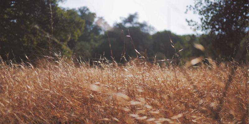 手机维修36计：从屏幕维修到数码回收，极速手机焕新全攻略