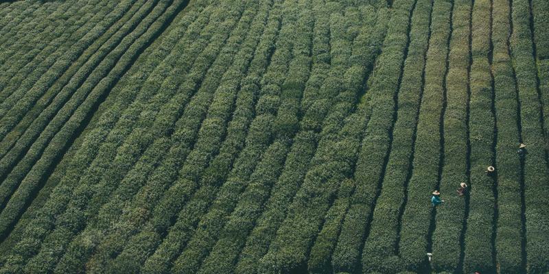 手机维修42问：电池更换与极速维修服务全解析