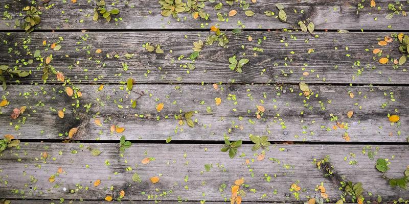 手机维修92：屏幕维修、电池更换与极速手机服务的全面指南