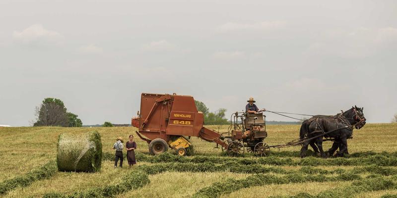手机维修93：电池更换、屏幕维修与二手回收全攻略