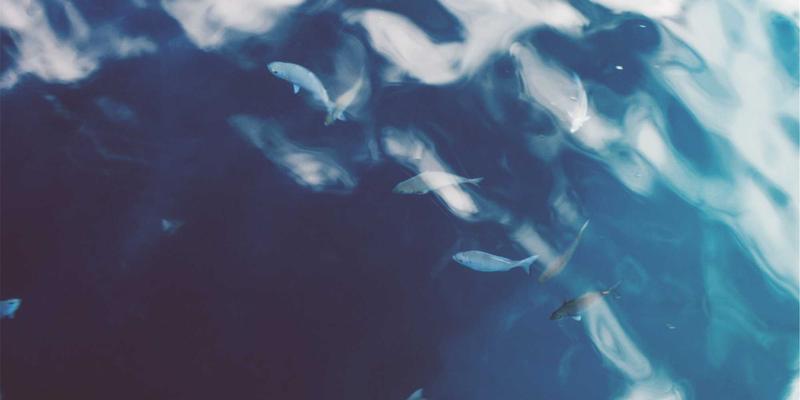 手机维修与回收全指南：电池更换技巧与数码循环利用