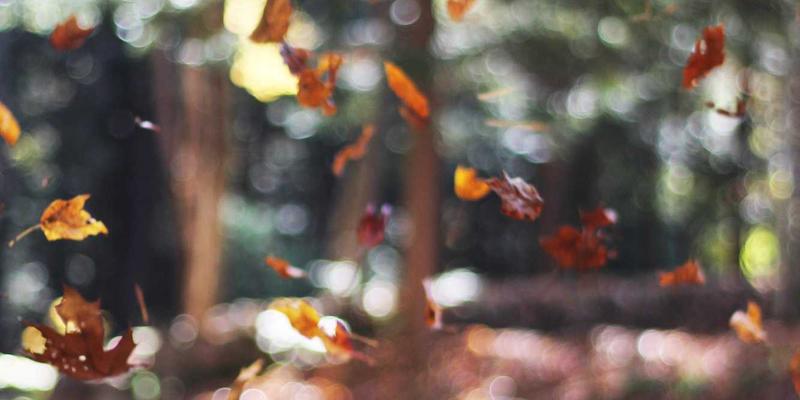 手机维修、二手回收与极速服务：一站式解决您的手机全周期需求