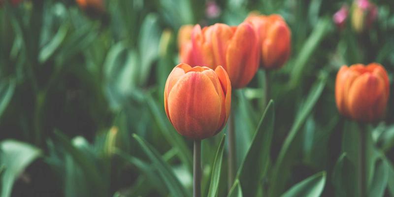 手机维修全攻略：电池更换、屏幕维修与数码回收的智慧选择