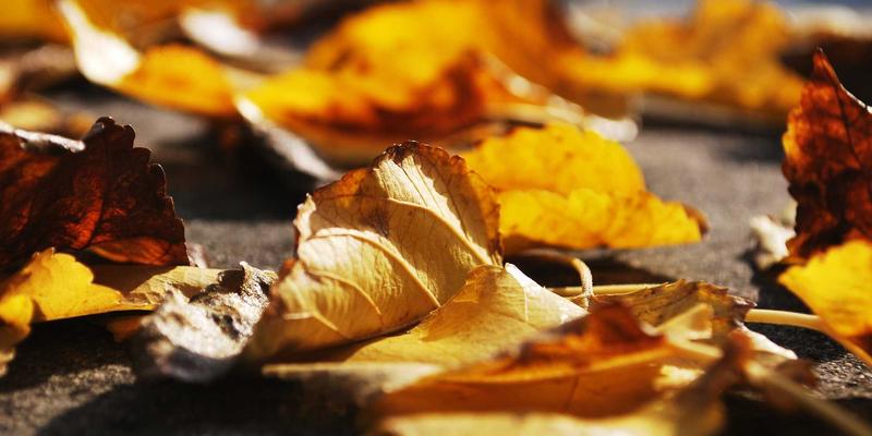 手机维修全解析：屏幕维修与电池更换的关键技术与避坑指南