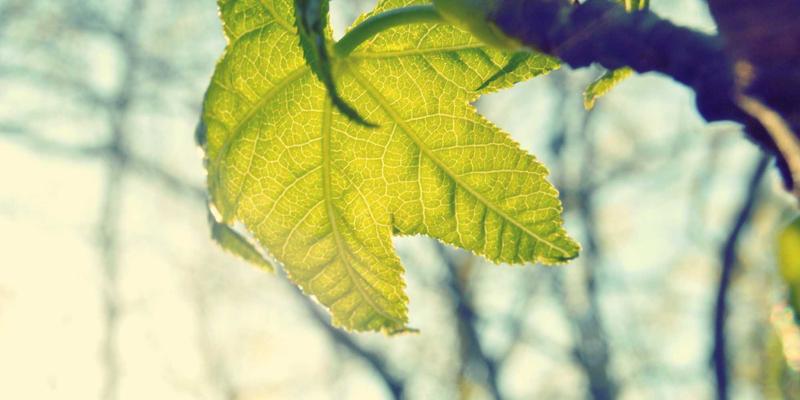 手机陀螺仪、指南针失灵如何修复？极速手机维修指南与传感器校准全攻略